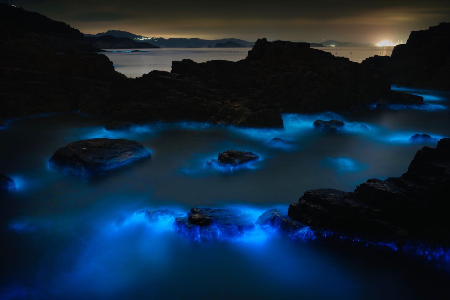Le plancton lumineux sur la plage sous un ciel étoilé.